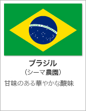 ブラジル（シーマ農園）